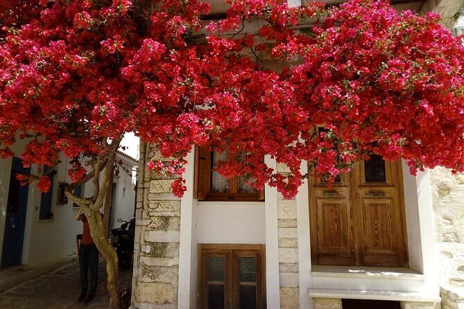 Naxos: Highlights of Naxos Day Tour - The Sum Up