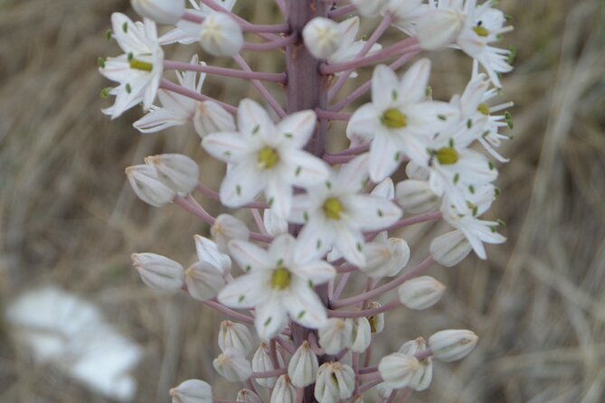 naxos-inland-hike-to-explore-local-villages-antiquities