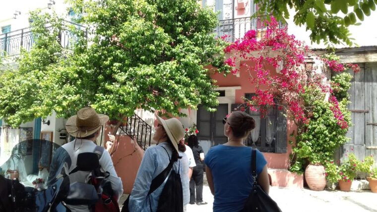naxos-island-full-day-historical-bus-tour