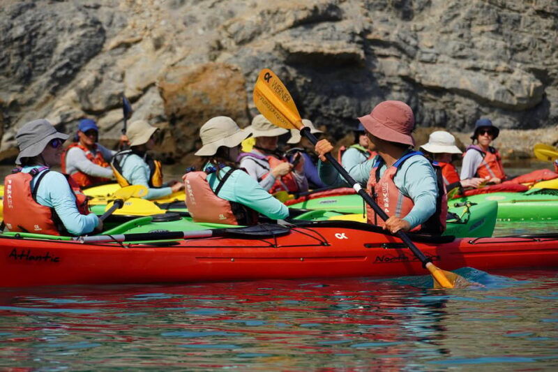 naxos-kampos-farm-sea-kayak-tour-with-snorkeling-picnic