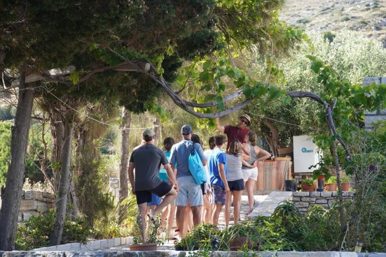 naxos-kampos-farm-sea-kayak-tour-with-snorkeling-picnic