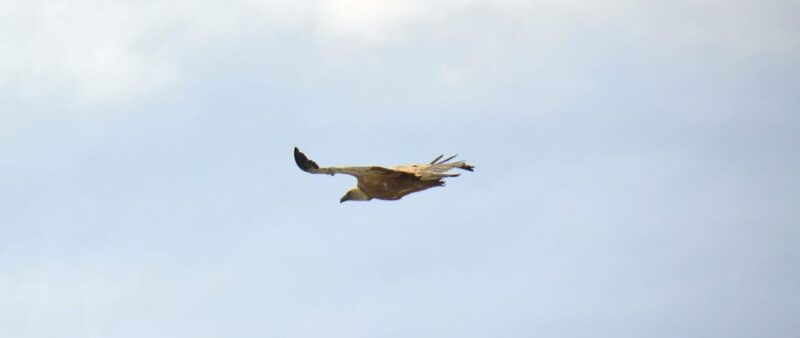 naxos-loop-trail-to-the-top-of-cyclades-where-zeus-grew-up