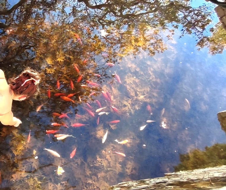 naxos-loop-trail-to-the-top-of-cyclades-where-zeus-grew-up