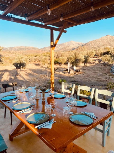 naxos-private-bbq-night-in-the-olive-grove