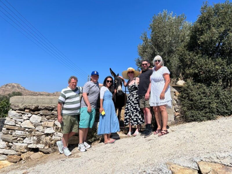 naxos-private-day-tour