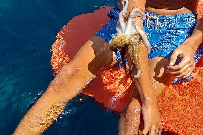 naxos-private-fishing-trips-lunch-on-board-island-hopping