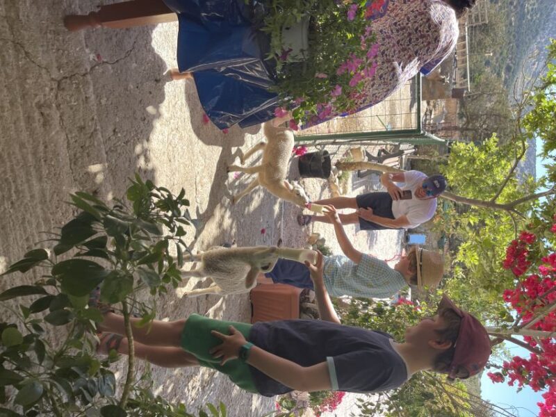 Naxos: Private Half-Day Family-Friendly Tasting Tour - Exploring Pottery and Craftsmanship