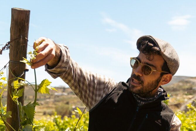 naxos-private-semi-private-e-bike-guided-tour-inland-methexis