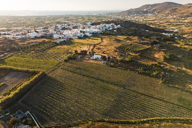 naxos-private-semi-private-e-bike-guided-tour-inland-methexis