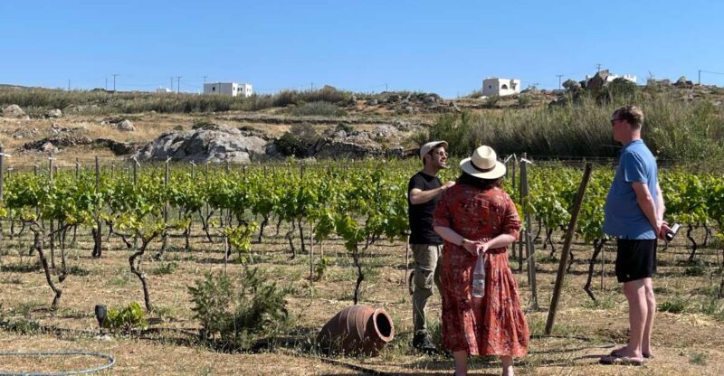 Naxos: Private Vineyard Tour & Wine Tasting with an Expert - Exploring Naxos with a Private Vineyard Tour & Wine Tasting