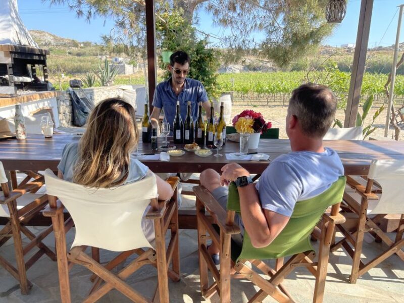 Naxos: Private Vineyard Tour & Wine Tasting with an Expert - The Sum Up