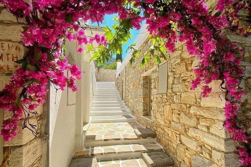 Naxos Villages Private 4 Hour Tour - Additional Details and Considerations