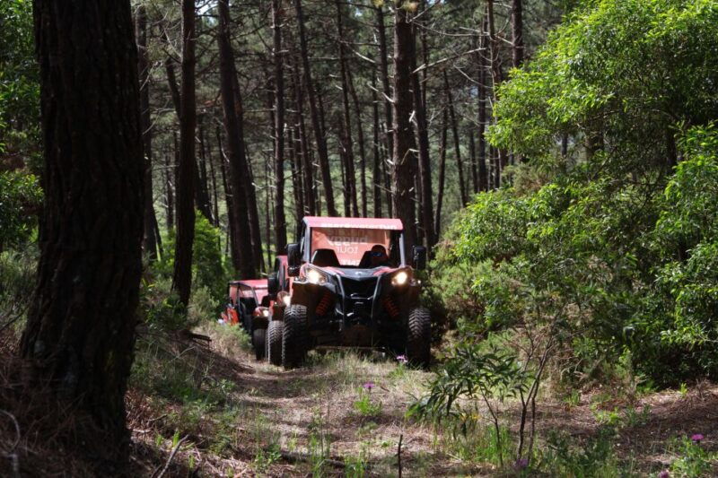 nazare-4x4-buggy-tour-with-guide