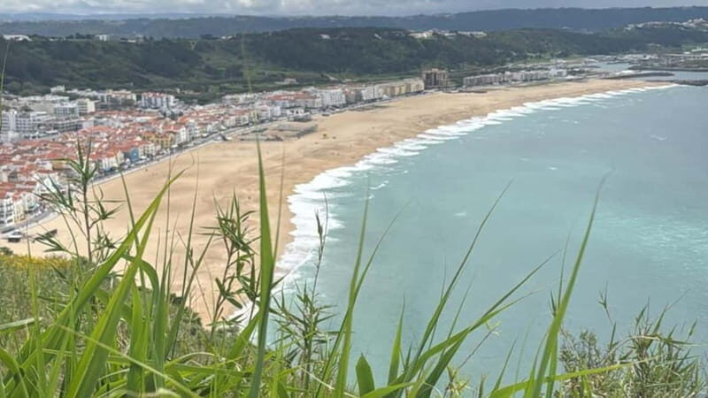Nazaré in depth: History, panoramas, and flavors - Flavor and Relaxation: The Tapas and Wine Ending
