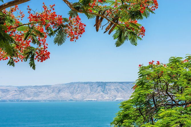 Nazareth and the Sea of Galilee Day Trip from Jerusalem - An In-Depth Look at the Tour Experience