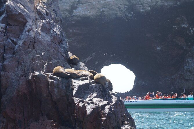 nazca-lines-and-paracas-tour-full-day-organized-from-lima