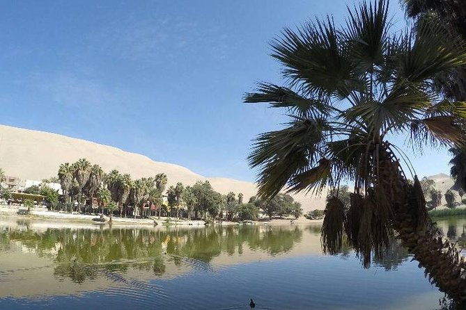 nazca-lines-and-transfer-to-huacachina