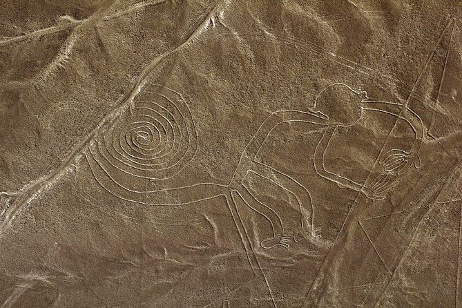 nazca-lines-ballestas-islands-private-tour-from-lima