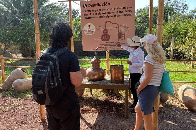 nazca-lines-flight-2-days-paracas-huacachina-tour-from-lima