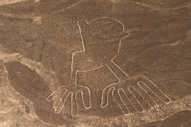 nazca-lines-overflight-tour-from-nazca