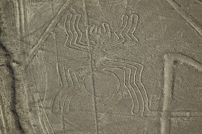 nazca-lines-overflight-tour-from-nazca