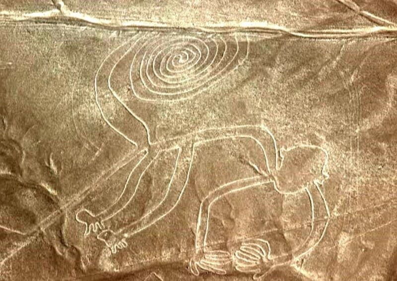 nazca-scenic-flight-over-the-nazca-lines