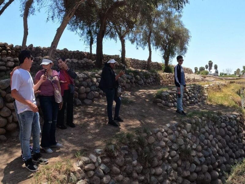 nazcas-aqueduct-wonders-cantalloc-water-system