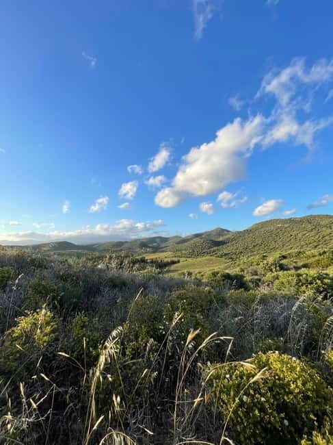 Near Cagliari: Almond Blossom Magic at "In Our Garden" (new) - Key Points