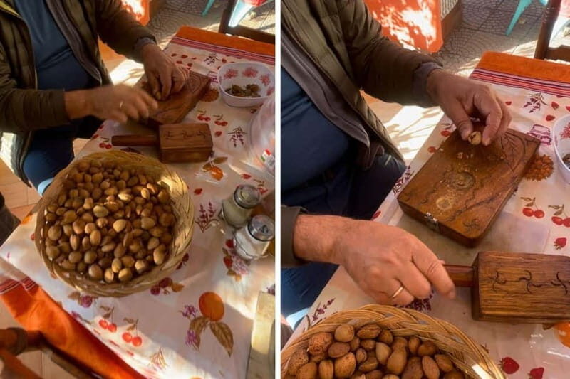 Near Cagliari: Almond Blossom Magic at "In Our Garden" (new) - What Sets This Tour Apart