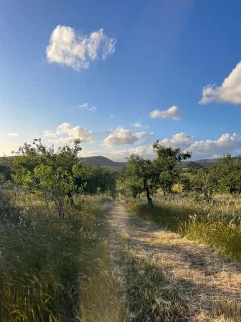 Near Cagliari: Almond Blossom Magic at "In Our Garden" (new) - The Sum Up
