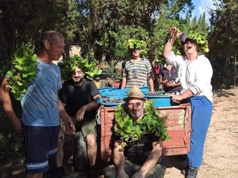 Near Cagliari: The World of Natural Wine at "In Our Garden" - Final Thoughts  