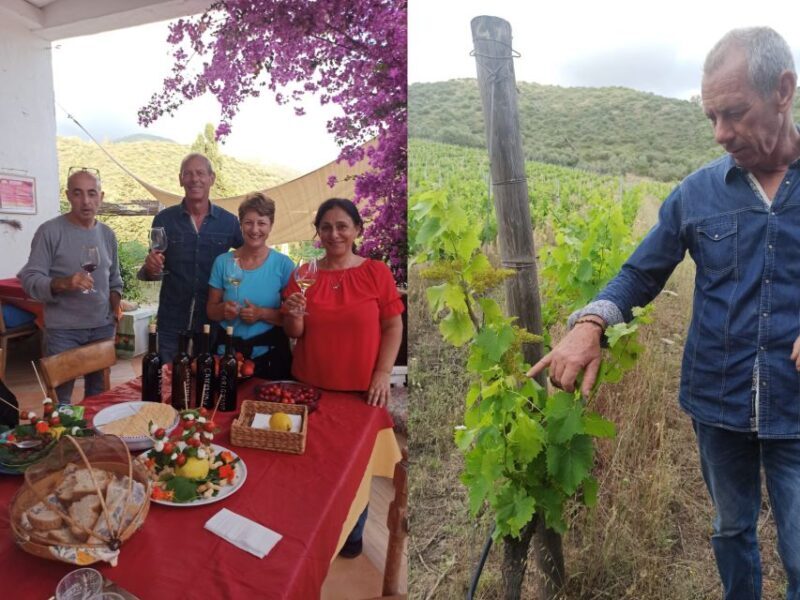 Near Cagliari: The World of Natural Wine at "In Our Garden" - FAQ  