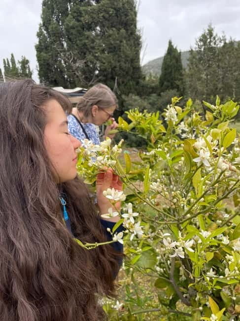 Near Cagliari: Wild Herbs and Healing at "In Our Garden" - What Makes This Tour Stand Out