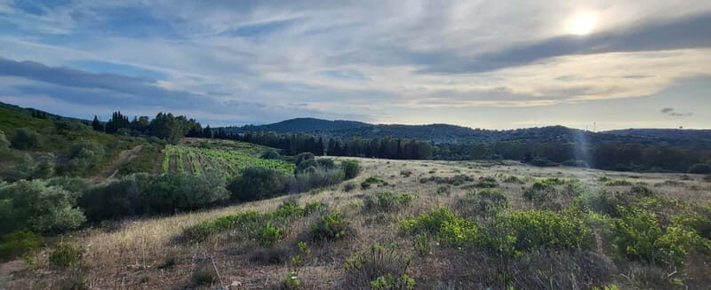 Near Cagliari: Wild Herbs and Healing at "In Our Garden" - Final Thoughts