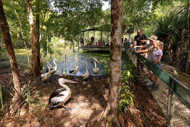 Near Darwin Territory Wildlife Park General Entry - Key Points