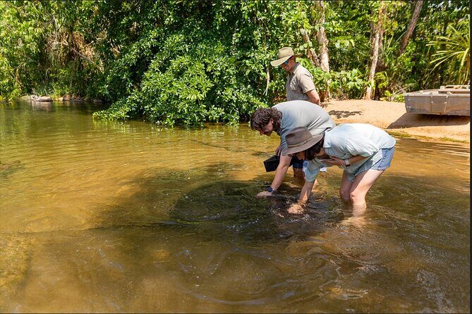 Near Darwin Territory Wildlife Park General Entry - Location and Accessibility