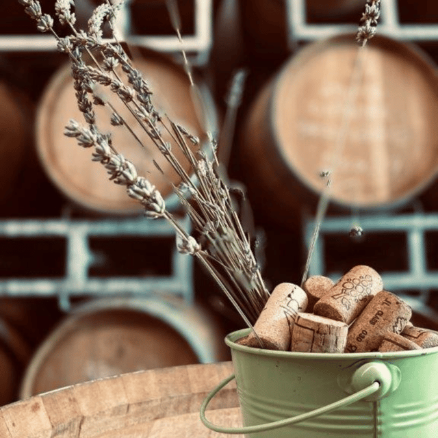 nebbiolo-shades-tasting