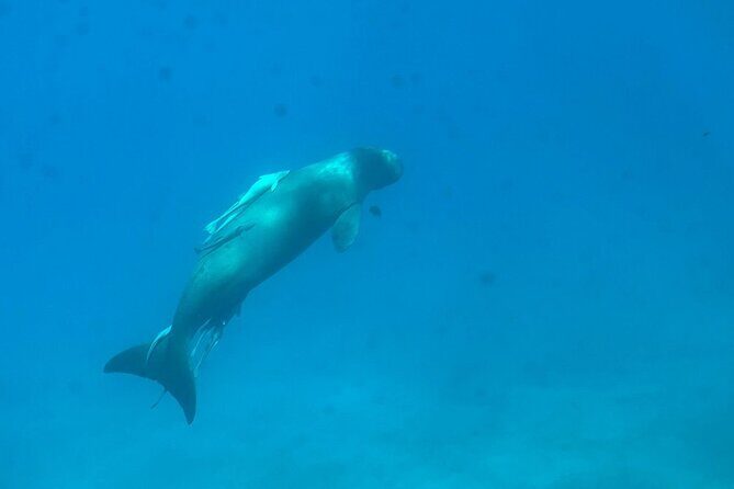 Nefertari Cruise Marsa Alam: Explore Red Sea's Wonders & Glories - Frequently Asked Questions