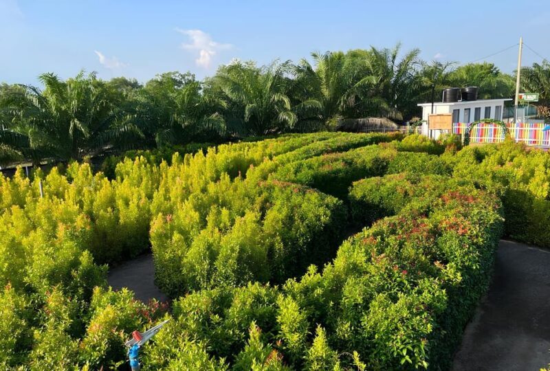 Negeri Sembilan: PD Maze Admission Ticket - Who Should Visit PD Maze?