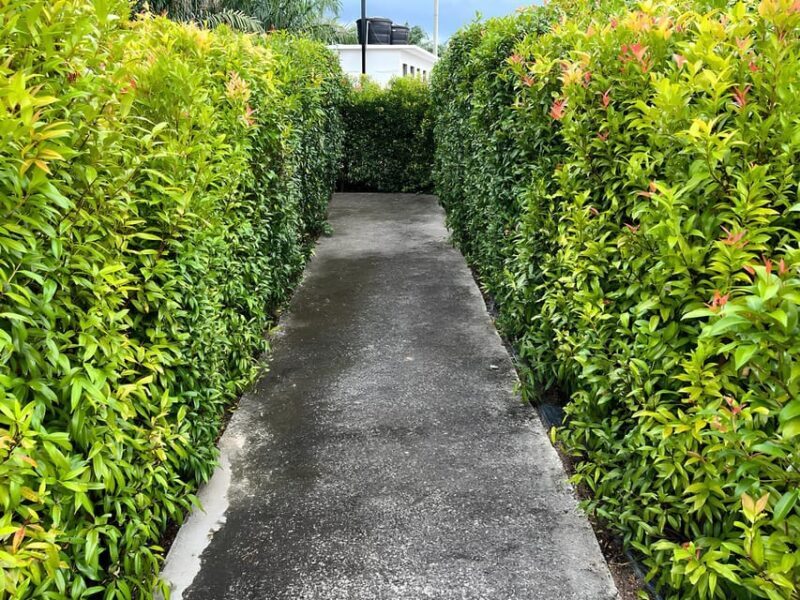 Negeri Sembilan: PD Maze Admission Ticket - Final Thoughts: Is PD Maze Worth It?