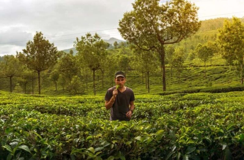 Negombo: 3-Day Sigiriya, Kandy, & Nuwara Eliya Tour - What Makes This Tour Stand Out?