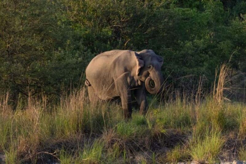 Negombo: 3-Day Sigiriya, Kandy, & Nuwara Eliya Tour - Final Thoughts