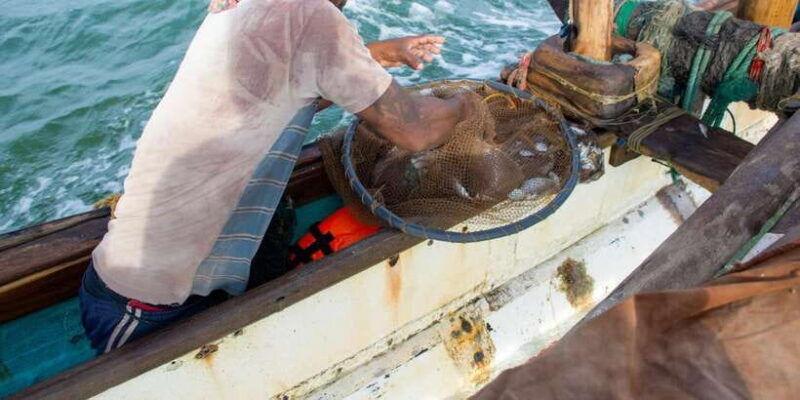 negombo-catamaran-sailing-with-traditional-fishermen