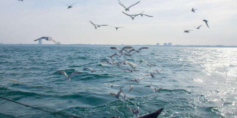 negombo-catamaran-sailing-with-traditional-fishermen