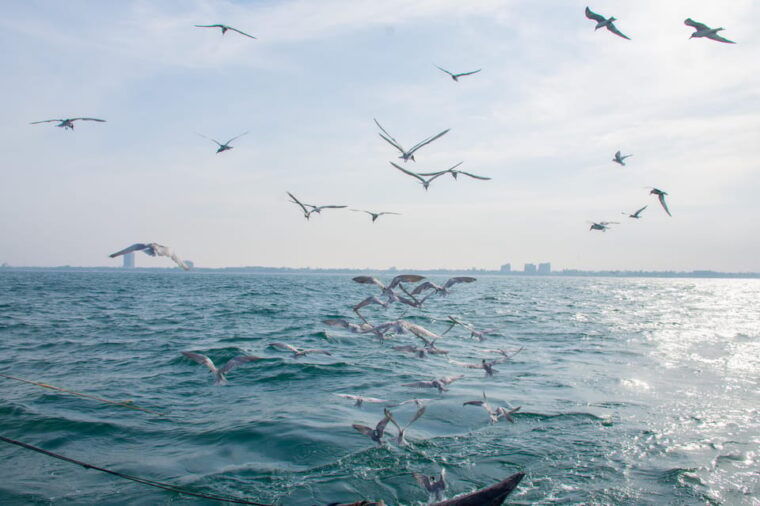 negombo-catamaran-sailing-with-traditional-fishermen