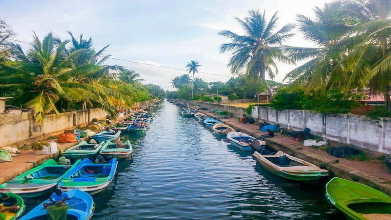 negombo-city-explore-the-fish-market-dutch-canal-by-boat