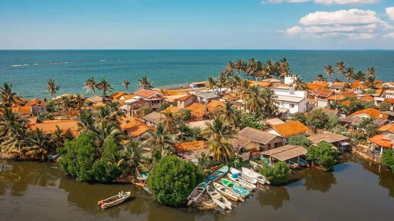 negombo-city-explore-the-fish-market-dutch-canal-by-boat