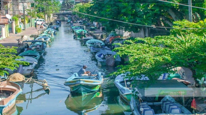 negombo-city-explore-the-fish-market-dutch-canal-by-boat