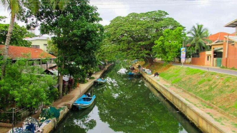 negombo-city-explore-the-fish-market-dutch-canal-by-boat