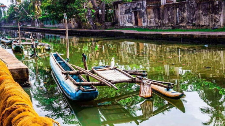 negombo-city-explore-the-fish-market-dutch-canal-by-boat